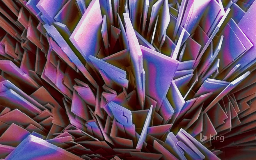 Magnification of phosphate crystals