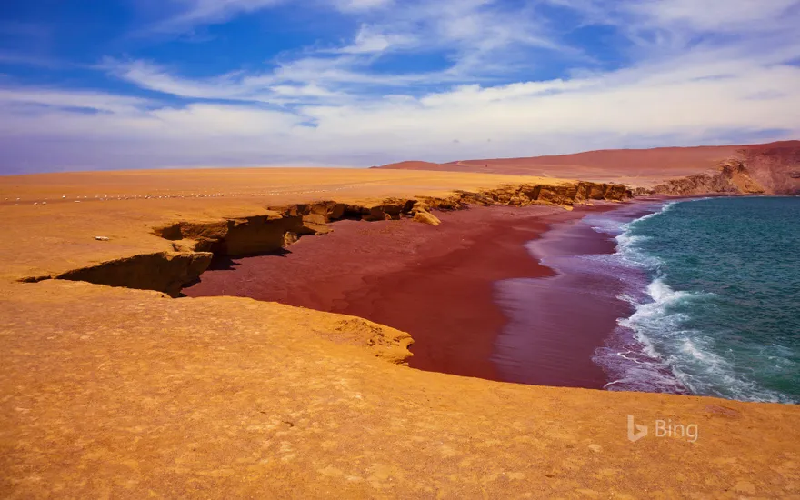Playa Roja in Paracas National Reserve, Peru