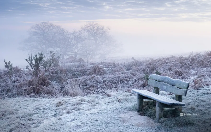 Ashdown Forest, East Sussex, England