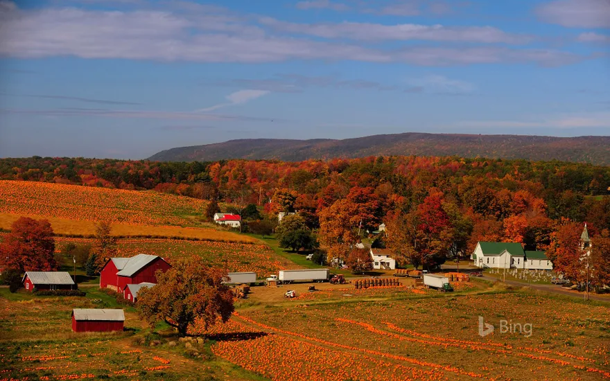 A pumpkin patch in Columbia County, Pennsylvania