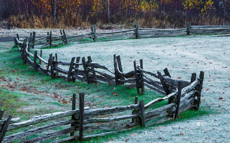 A frost covered grass field with trees in autumn colours; Iron Hill, Quebec