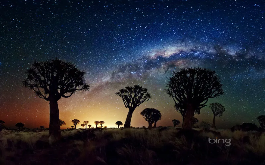 The Milky Way stretches over the Quiver Tree Forest, Namibia