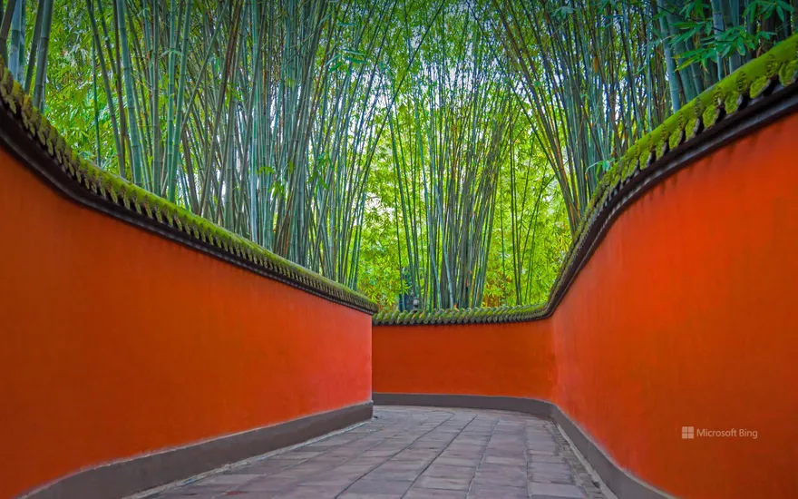 Alley with red walls and bamboo grove in Wuhou Temple, Chengdu, Sichuan province, China