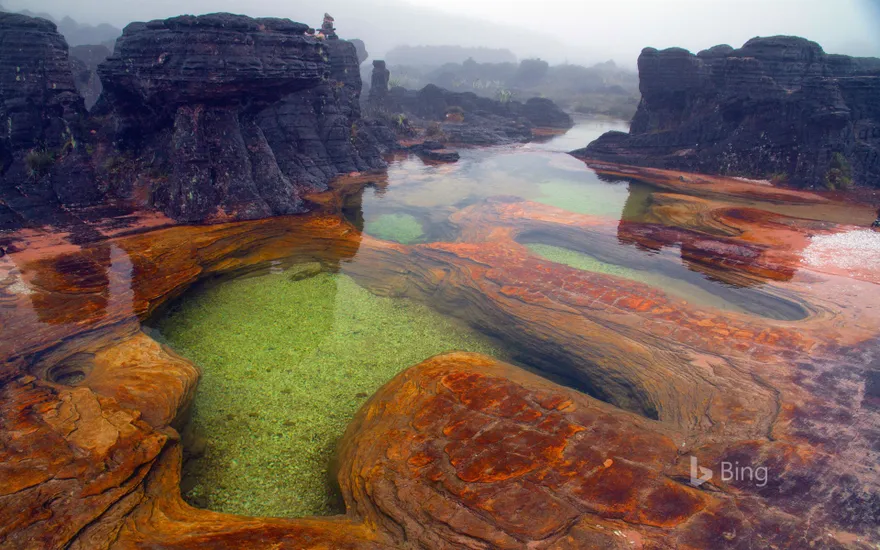 Hot springs on Mount Roraima, Venezuela
