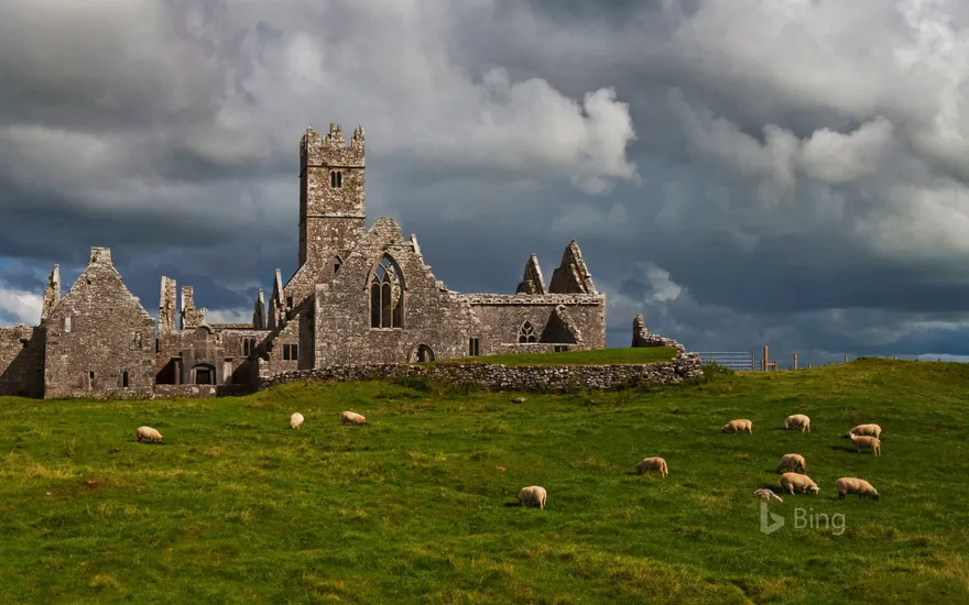 Ross Errilly Friary, County Galway, Ireland