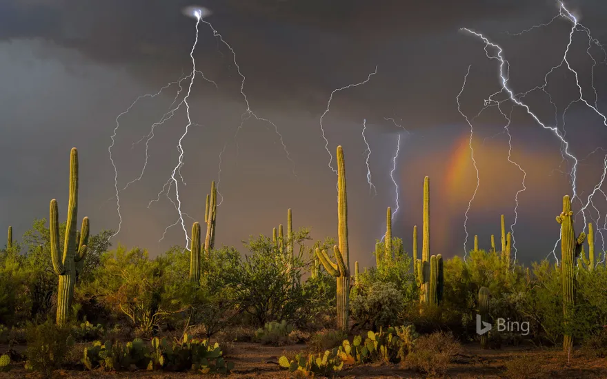 Lightning storm in the Tortolita Mountain foothills, north of Tucson, Arizona, USA