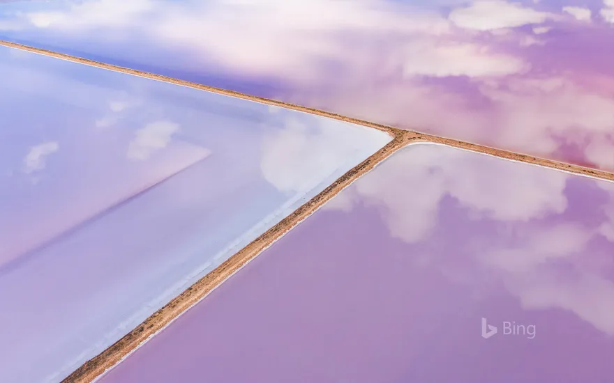 Aerial of pink salt lake in Lochiel, South Australia
