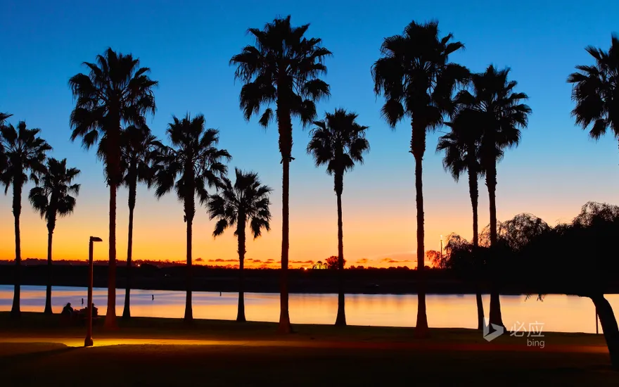 Palm Grove at Mission Bay at Sunset, San Diego, California, USA