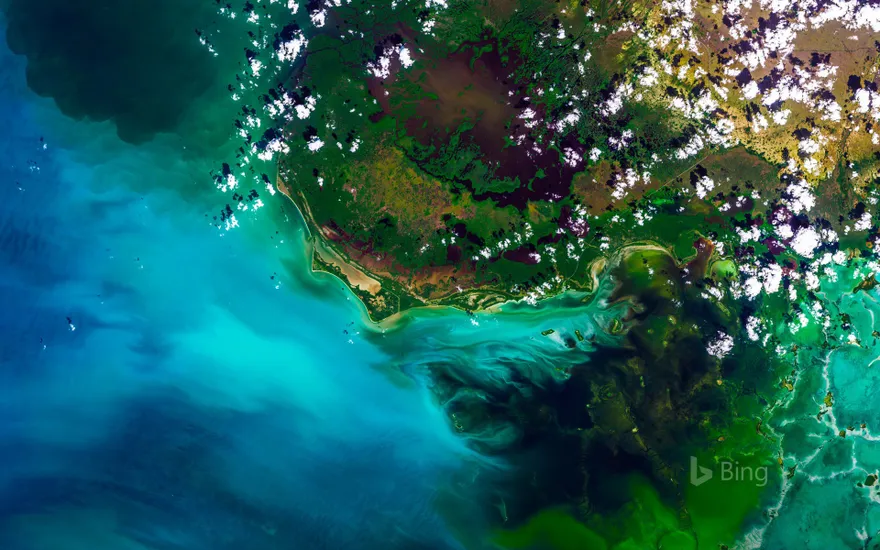 Satellite view of Everglades National Park, Florida