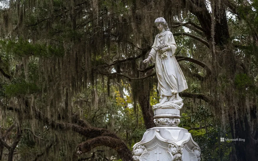 Bonaventure Cemetery, Savannah, Georgia, USA