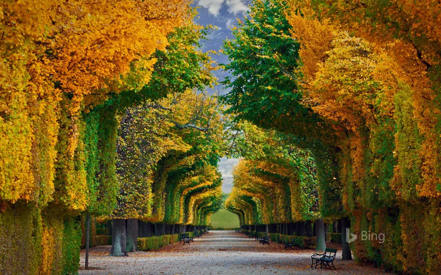 Schönbrunn Palace gardens in Vienna, Austria