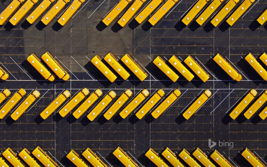 Yellow school buses parked in a lot