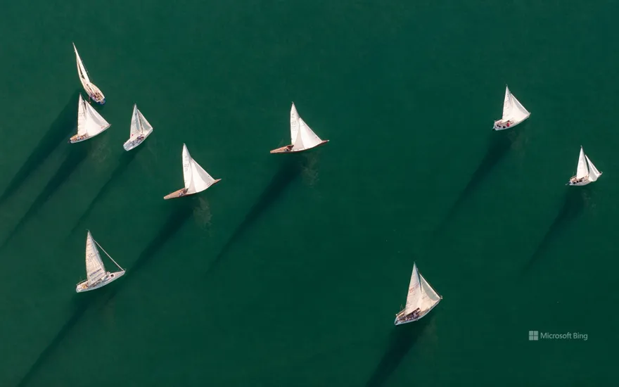 Aerial view of sailing boats, Friedrichshafen, Lake Constance, Baden-Wuerttemberg