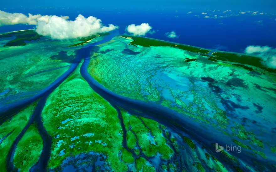 Tidal channels of Aldabra atoll near the Seychelles