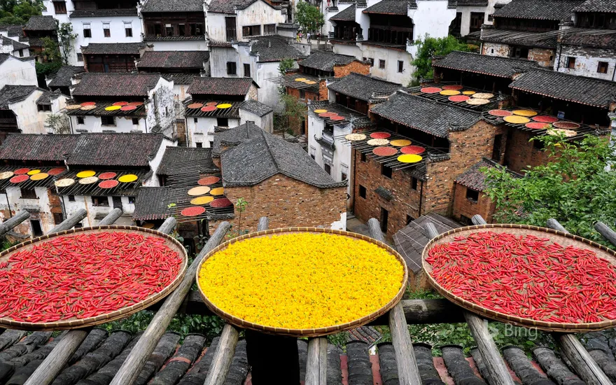 Households in Lingling are drying peppers and chrysanthemums, Wuyuan, Jiangxi