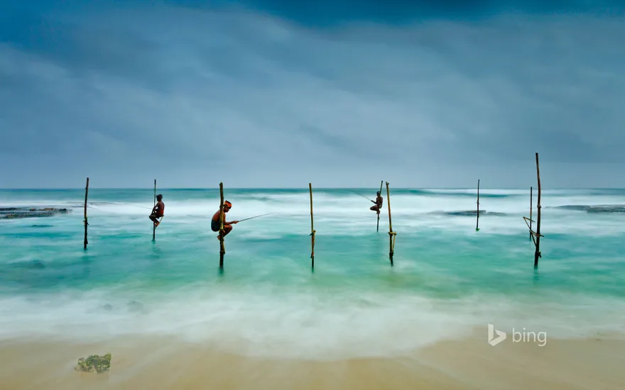 Stilt fishing in Koggala, Sri Lanka