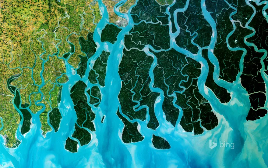 Satellite photo of the Ganges Delta, India and Bangladesh