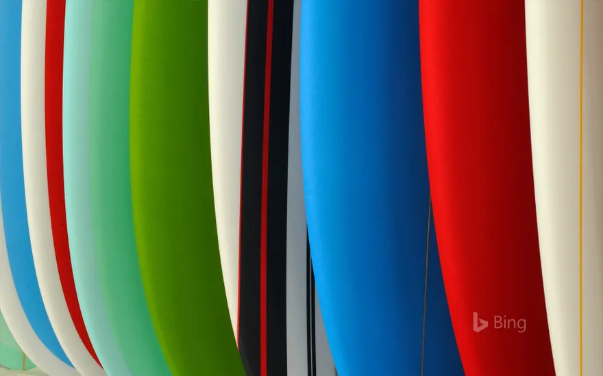 Surfboards in a row