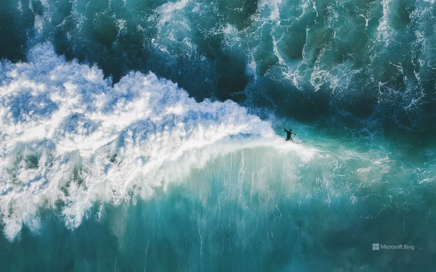 High-angle view of man surfing in the sea, New South Wales