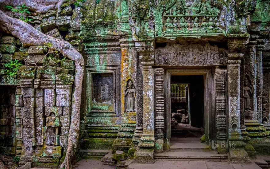 Ta Prohm temple at Angkor, Cambodia