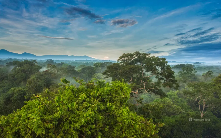 La Selva Biological Station, Costa Rica