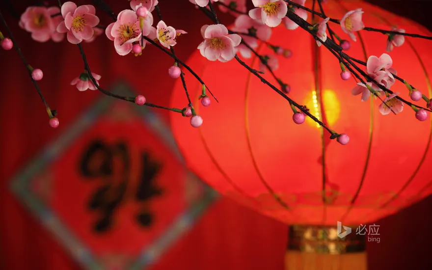 Chinese new year decoration, lanterns and blessings
