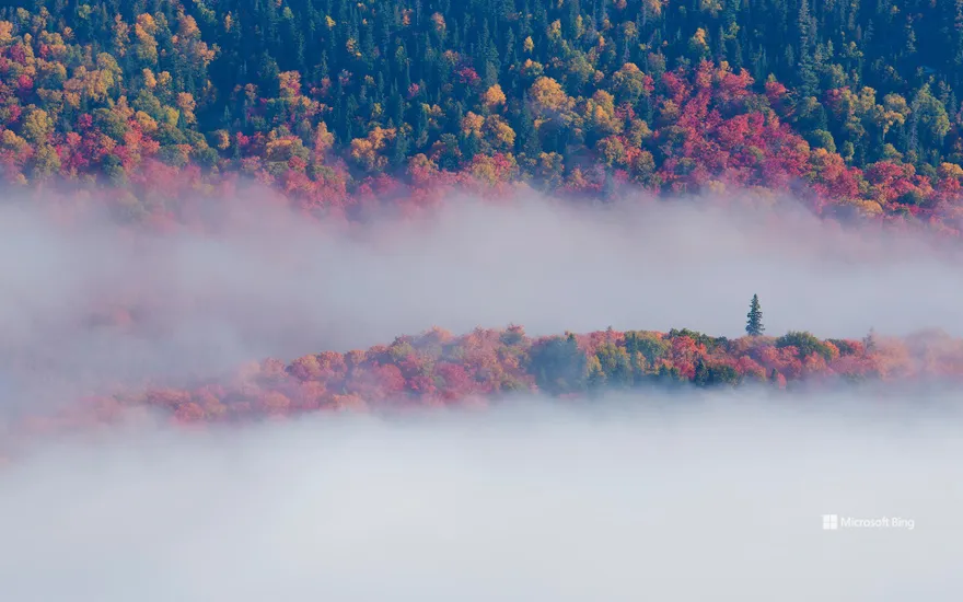 Fall foliage in Mont-Tremblant National Park, Quebec