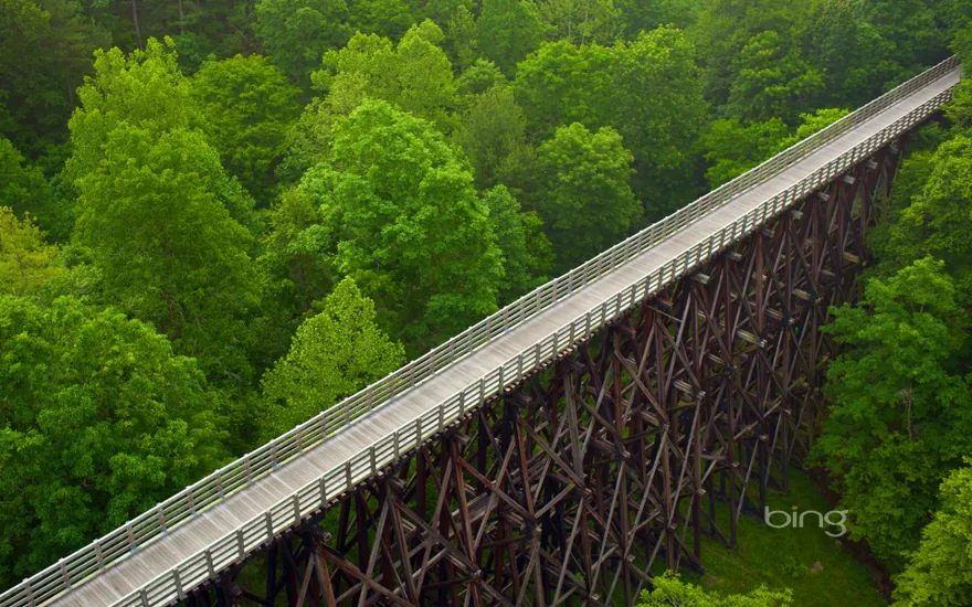 Trestle bridge on the Virginia Creeper Trail, Virginia