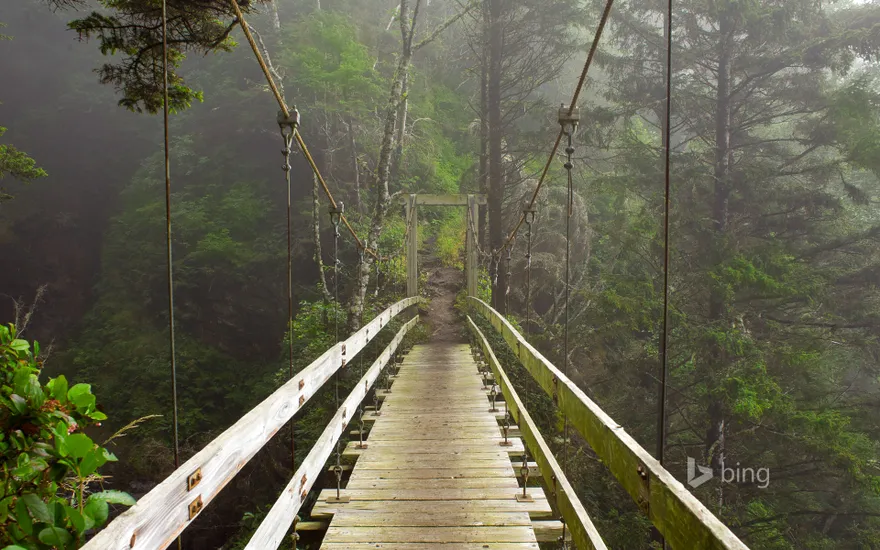 Hanging bridge across Tsocowis Creek, West Coast Trail on Vancouver Island, British Columbia, Canada