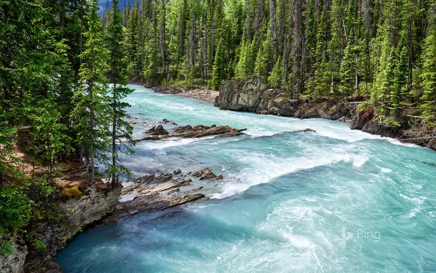Glacial turquoise water of Kicking Horse River, Yoho National Park, B.C.