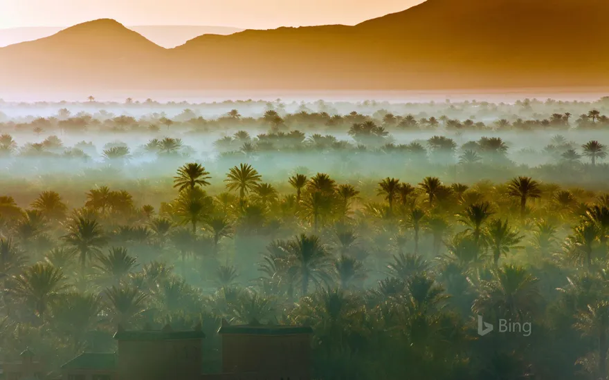 Date palm groves near Zagora, Morocco