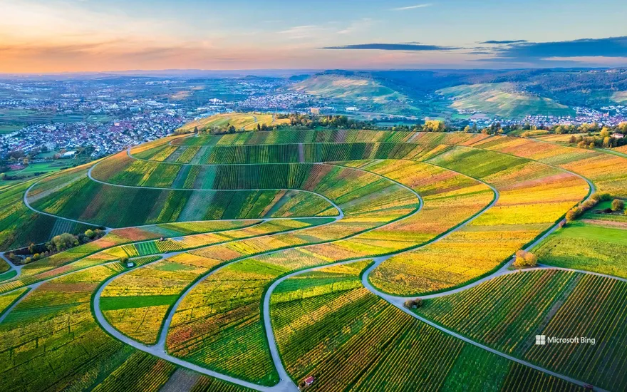 Drone view of the vineyards in Remstal, Baden-Württemberg