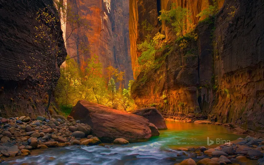 The Virgin River in Zion National Park, Utah