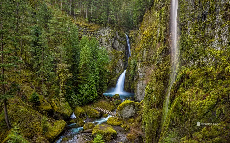 Wahclella Falls in the Columbia River Gorge, Oregon, USA