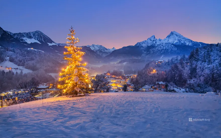 Christmas tree near Berchtesgaden with the Watzmann in the background, Bavaria