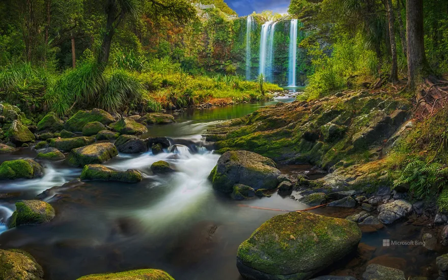 Whangārei Falls, North Island, New Zealand