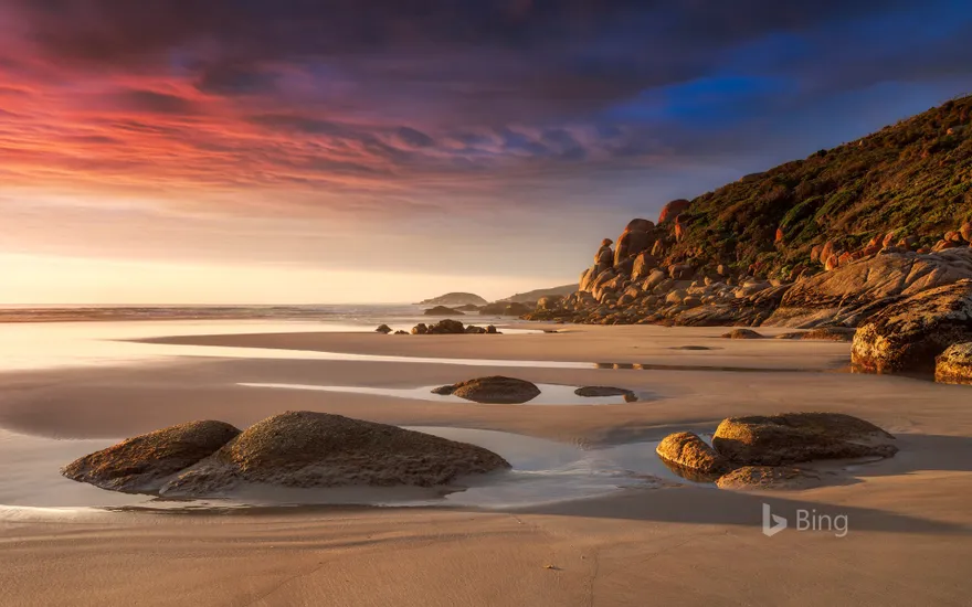 Beach in the evening light at Whisky Bay, Wilsons Promontory National Park, Victoria, Australia