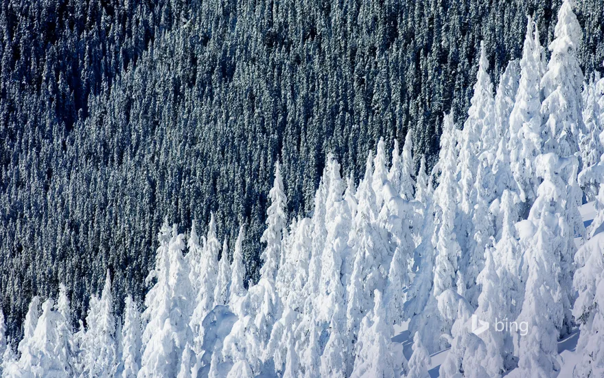 Whistler Mountain in British Columbia, Canada