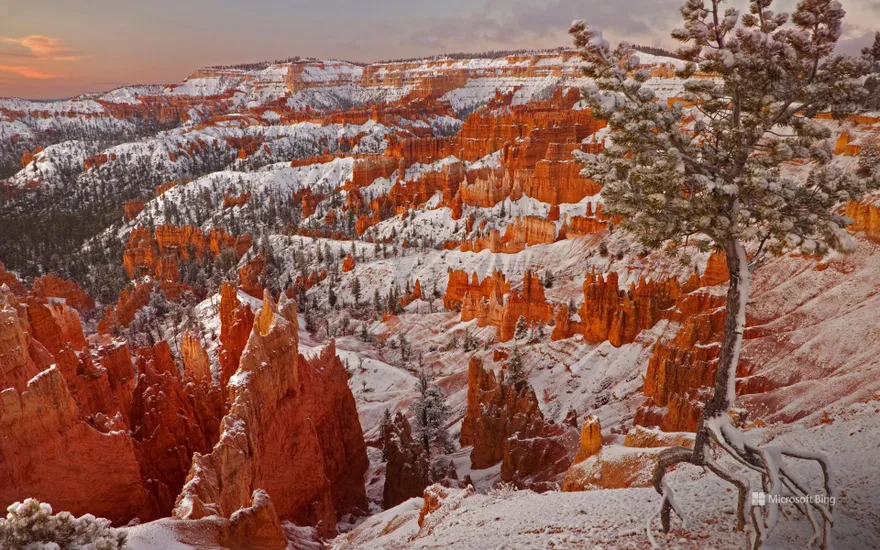 Winter in Bryce Canyon National Park, Utah