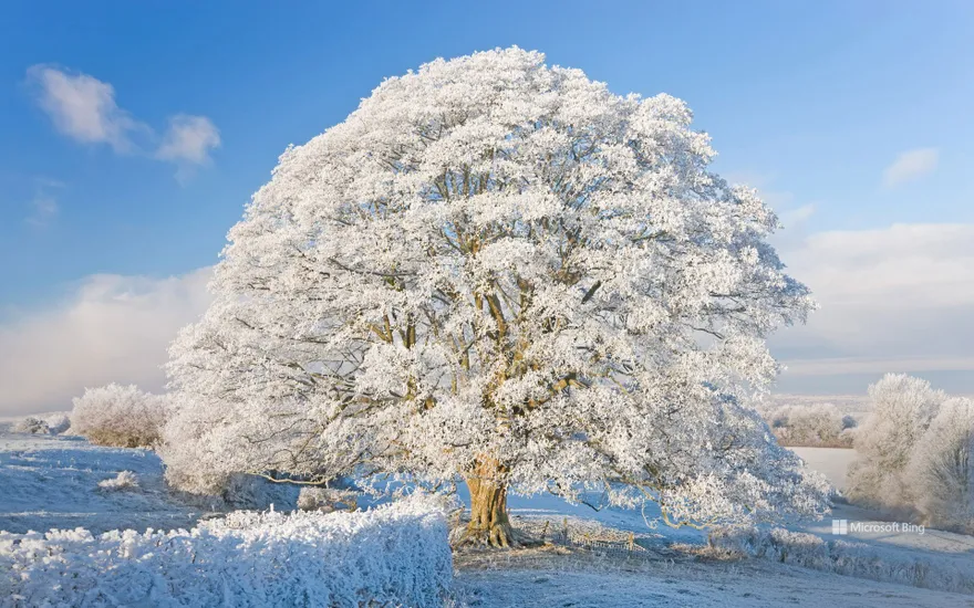 Cotswolds, England