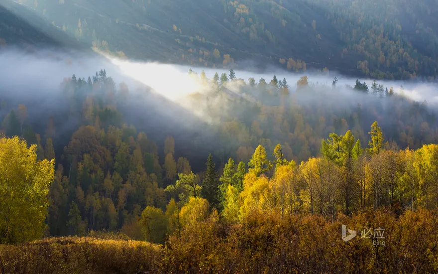 [Autumn Equinox] Xinjiang, Altay, the sun shines through the morning mist