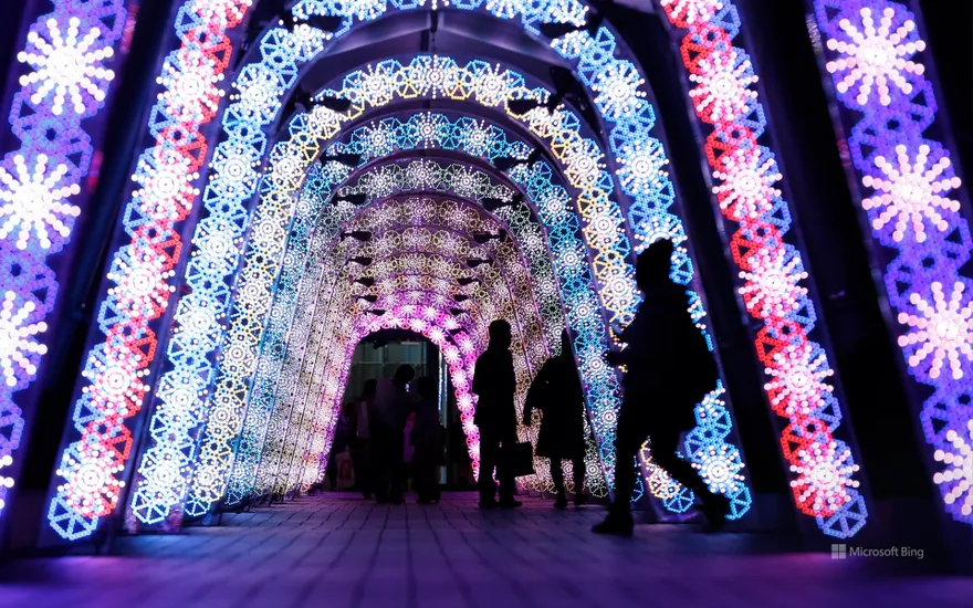 "Tokyo Dome Illuminations" Bunkyo-ku, Tokyo