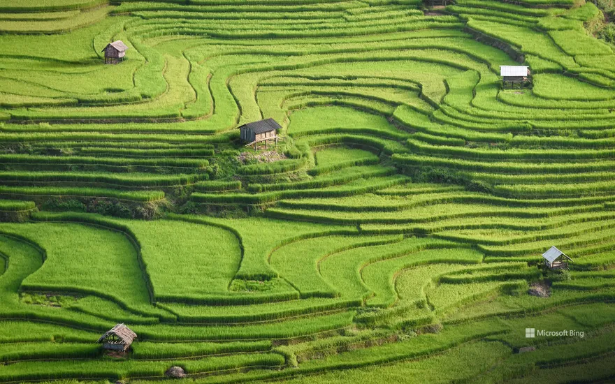 Rice terraces of Mù Cang Chải, Yên Bái province, Vietnam