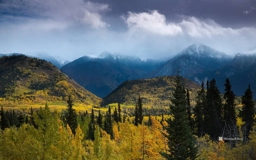 Autumnal woodland and Young Peak, British Columbia, Canada