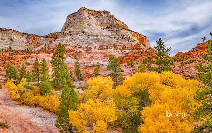 Fall colors in Zion National Park, Utah