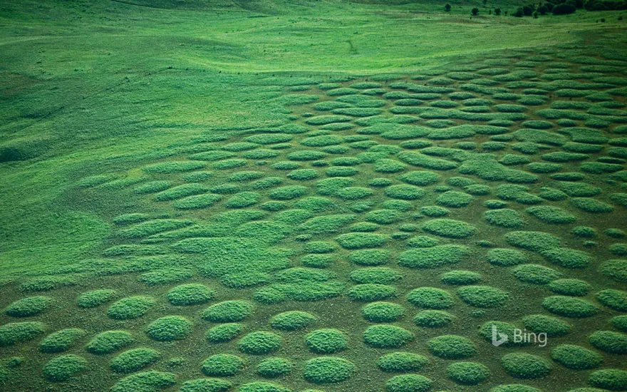 Mima mounds at Oregon’s Zumwalt Prairie, USA